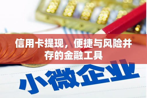 修文信用卡提现，便捷与风险并存的金融工具