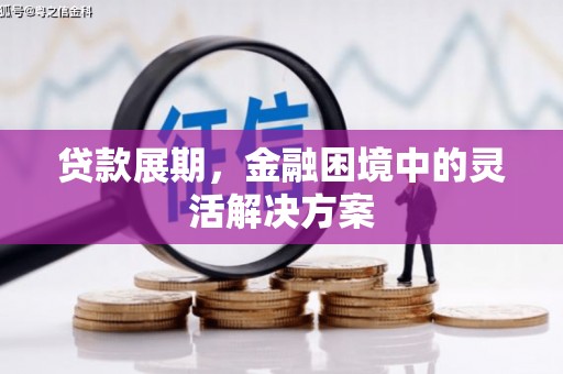 修文贷款展期，金融困境中的灵活解决方案