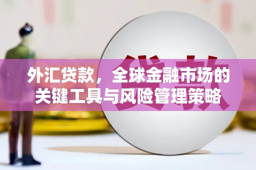 修文外汇贷款，全球金融市场的关键工具与风险管理策略