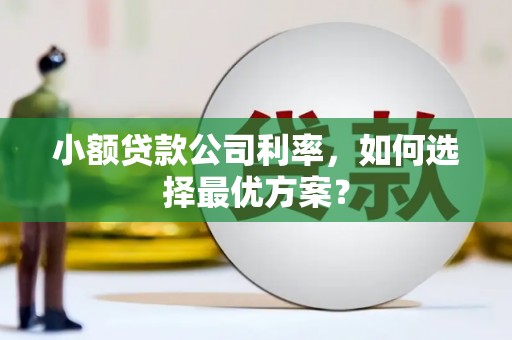 修文小额贷款公司利率，如何选择最优方案？