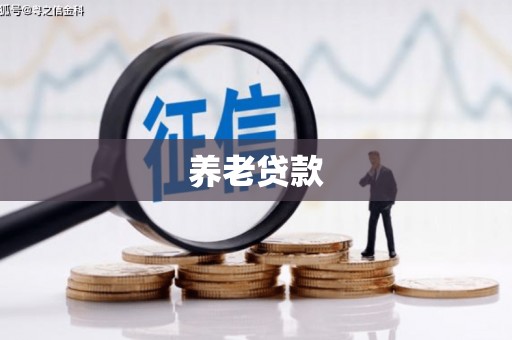 修文养老贷款