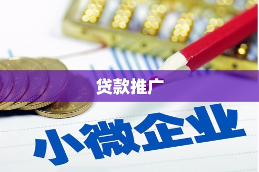修文贷款推广
