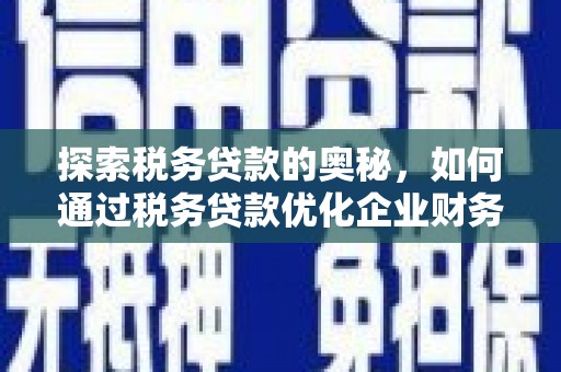 修文探索税务贷款的奥秘，如何通过税务贷款优化企业财务