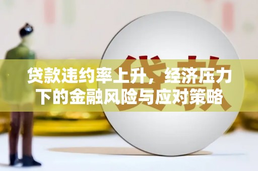 修文贷款违约率上升，经济压力下的金融风险与应对策略