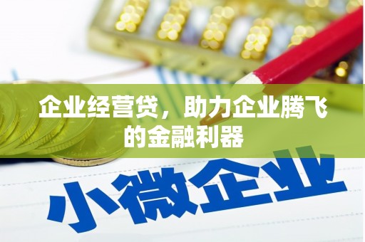 修文企业经营贷，助力企业腾飞的金融利器