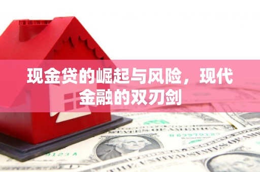 修文现金贷的崛起与风险，现代金融的双刃剑