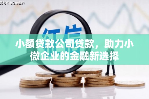 修文小额贷款公司贷款，助力小微企业的金融新选择