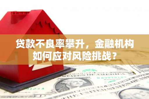 修文贷款不良率攀升，金融机构如何应对风险挑战？