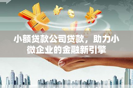 修文小额贷款公司贷款，助力小微企业的金融新引擎