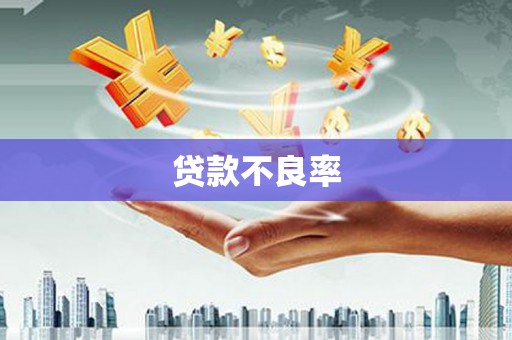 修文贷款不良率
