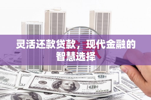 修文灵活还款贷款，现代金融的智慧选择