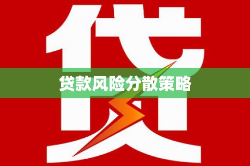 修文贷款风险分散策略
