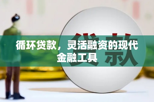 修文循环贷款，灵活融资的现代金融工具