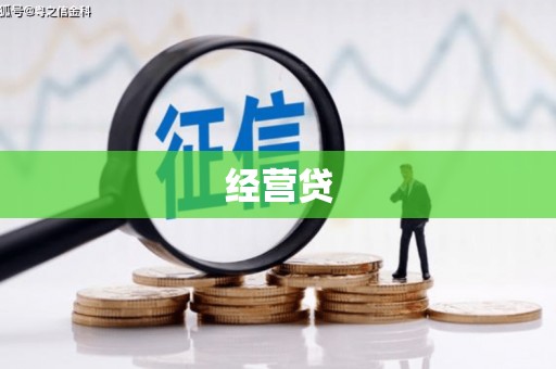 修文经营贷