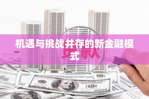修文机遇与挑战并存的新金融模式