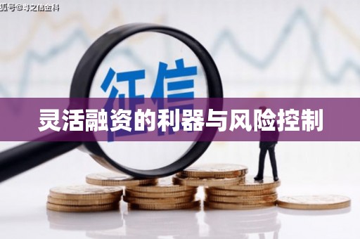 修文灵活融资的利器与风险控制