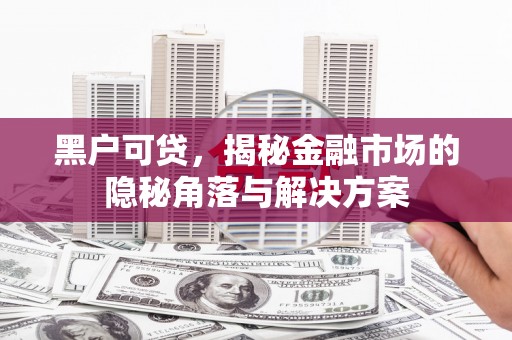 修文黑户可贷，揭秘金融市场的隐秘角落与解决方案