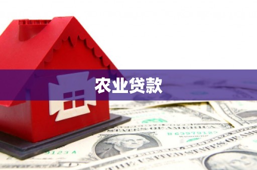 修文农业贷款