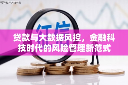 修文贷款与大数据风控，金融科技时代的风险管理新范式