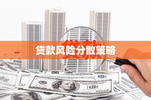 修文贷款风险分散策略