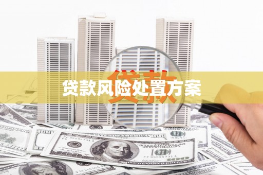 修文贷款风险处置方案