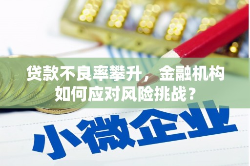 修文贷款不良率攀升，金融机构如何应对风险挑战？