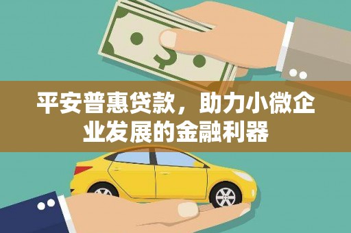 修文平安普惠贷款，助力小微企业发展的金融利器