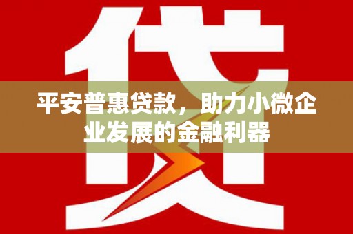 修文平安普惠贷款，助力小微企业发展的金融利器