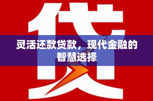 修文灵活还款贷款，现代金融的智慧选择