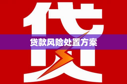 修文贷款风险处置方案