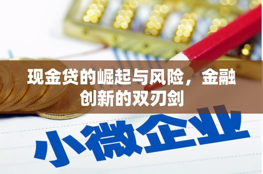 修文现金贷的崛起与风险，金融创新的双刃剑