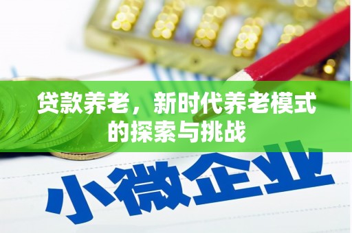 修文贷款养老，新时代养老模式的探索与挑战
