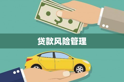 修文贷款风险管理