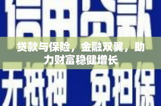 修文贷款与保险，金融双翼，助力财富稳健增长