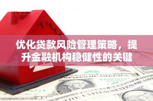 修文优化贷款风险管理策略，提升金融机构稳健性的关键