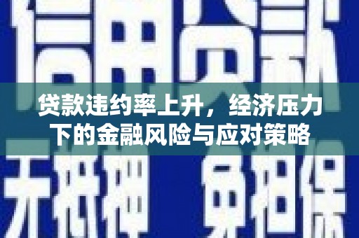 修文贷款违约率上升，经济压力下的金融风险与应对策略