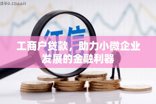 修文工商户贷款，助力小微企业发展的金融利器