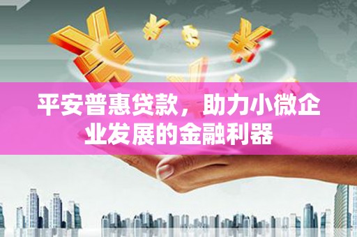 修文平安普惠贷款，助力小微企业发展的金融利器