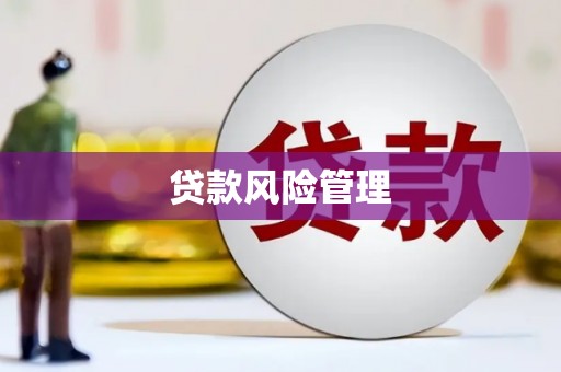 修文贷款风险管理