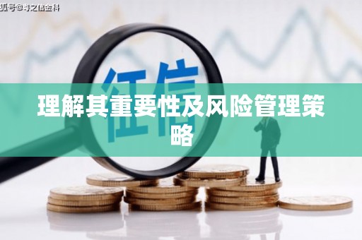 修文理解其重要性及风险管理策略