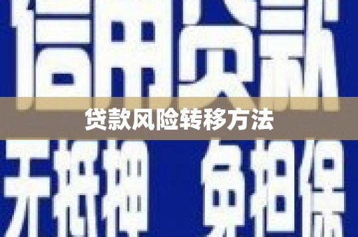修文贷款风险转移方法