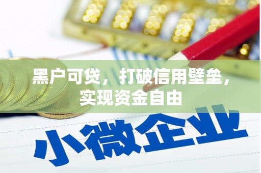 修文黑户可贷，打破信用壁垒，实现资金自由