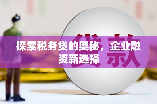 修文探索税务贷的奥秘，企业融资新选择