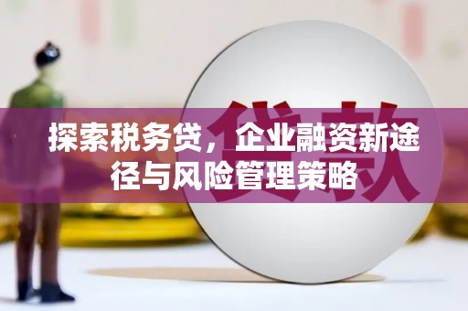 修文探索税务贷，企业融资新途径与风险管理策略