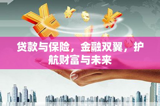 修文贷款与保险，金融双翼，护航财富与未来