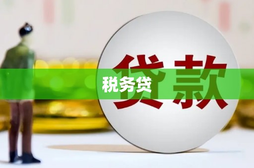 修文税务贷