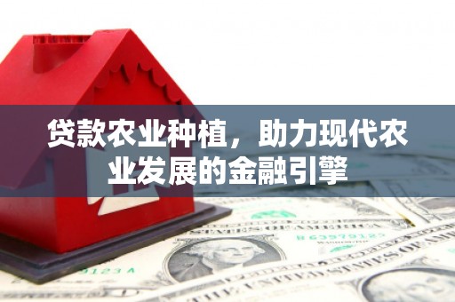 修文贷款农业种植，助力现代农业发展的金融引擎