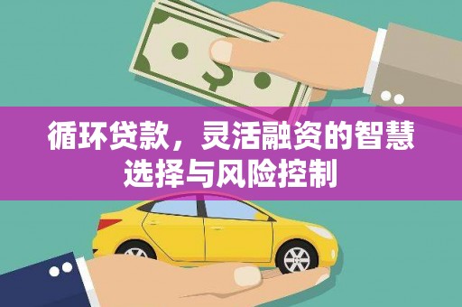 修文循环贷款，灵活融资的智慧选择与风险控制