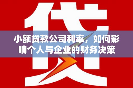 修文小额贷款公司利率，如何影响个人与企业的财务决策