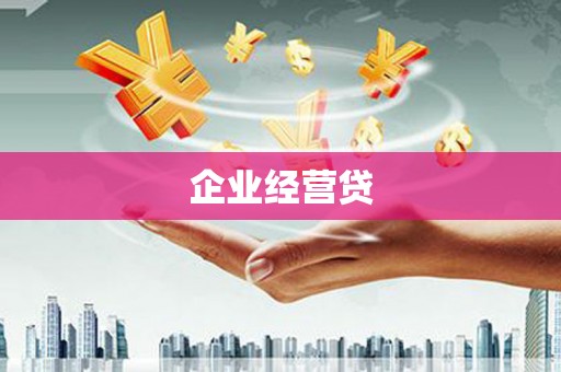 修文企业经营贷
